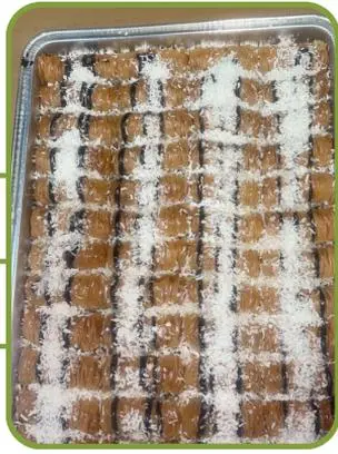 Coconut burma — rolled pastry with coconut, dusted with sugar.