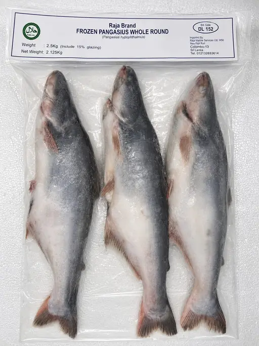 Whole round pangasius, grade 500/1000 g, frozen.