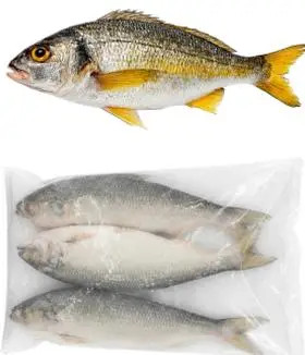 Wild-caught yellow croaker, whole and frozen.